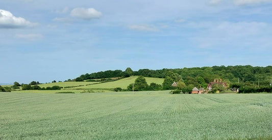 PSYCH-K® Private Session